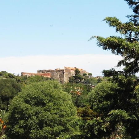 Magnifique Appartement Proche Centre Collioure Zewnętrze zdjęcie