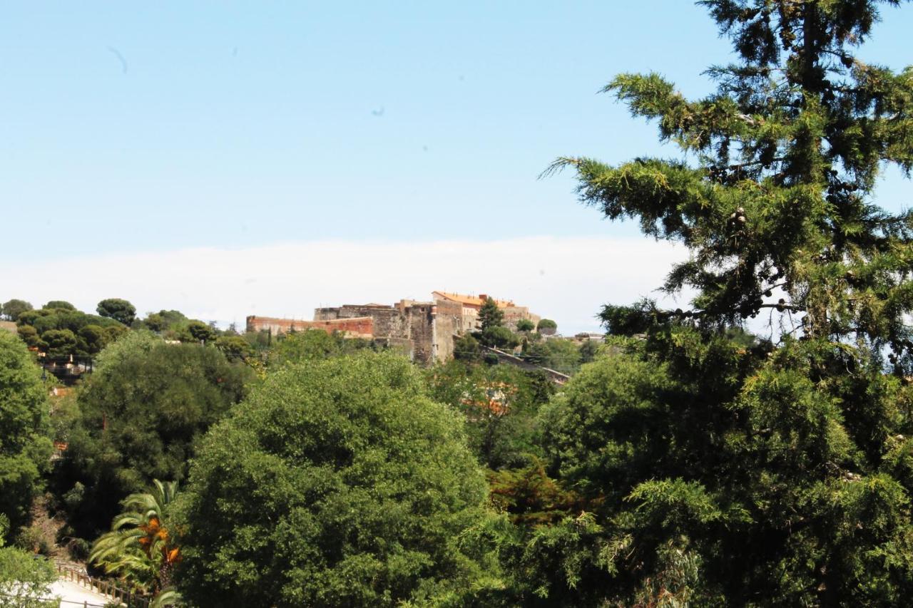 Magnifique Appartement Proche Centre Collioure Zewnętrze zdjęcie